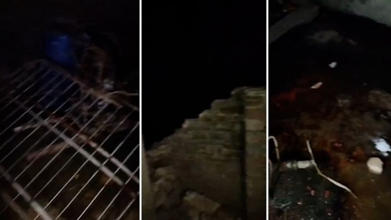 BJP alleges targeted attacks in West Bengal; Homes, religious sites hit in Murshidabad (WATCH)