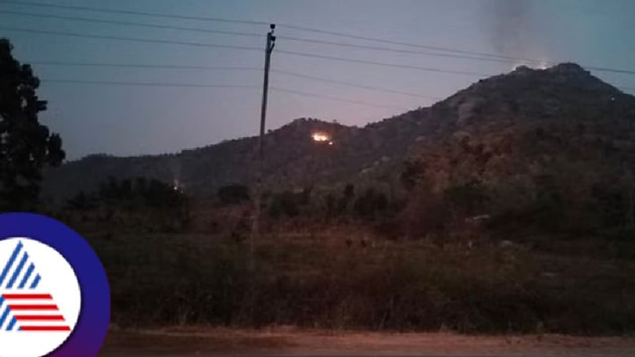 ಕಿಡಿಗೇಡಿಗಳಿಂದ ಸಿಡಿಲು ಮಲ್ಲಿಕಾರ್ಜುನಸ್ವಾಮಿ ಬೆಟ್ಟಕ್ಕೆ ಬೆಂಕಿ; ಸಾವಿರಾರು ಎಕರೆ ಅರಣ್ಯ ಪ್ರದೇಶ ನಾಶ