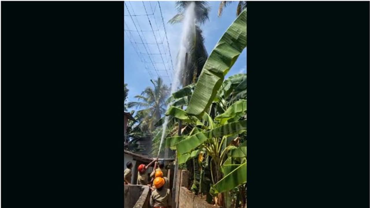 പലതവണ ആവശ്യപ്പെട്ടിട്ടും മുറിച്ചുമാറ്റിയില്ല; വീടിന് മുകളിലേക്കു ചാഞ്ഞുനിൽക്കുന്ന തെങ്ങിന് തീപിടിച്ചു പലതവണ ആവശ്യപ്പെട്ടിട്ടും മുറിച്ചുമാറ്റിയില്ല; വീടിന് മുകളിലേക്കു ചാഞ്ഞുനിൽക്കുന്ന തെങ്ങിന് തീപിടിച്ചു