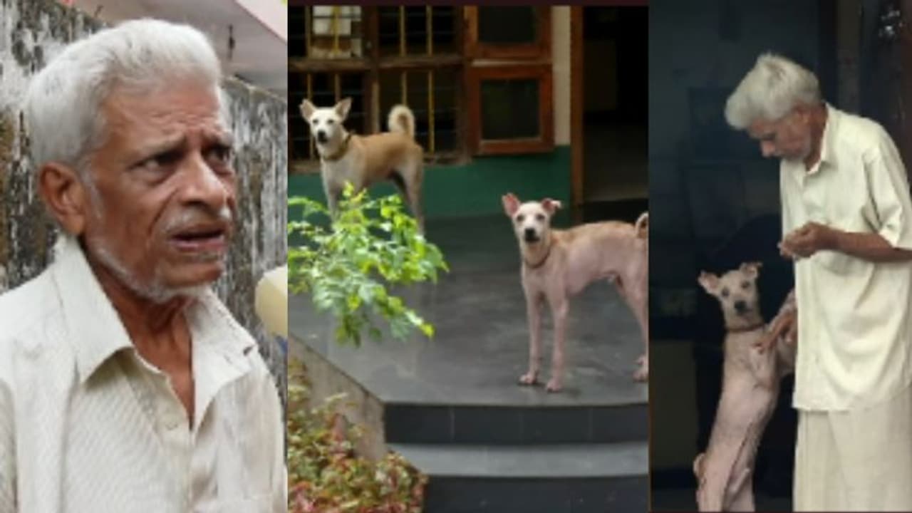 തെരുവ് നായയ്ക്ക് ആശ്രയം നൽകി, ഒടുവിൽ പൊല്ലാപ്പിലായി വയോധികൻ, വീട്ടുകാർക്കും നാട്ടുകാർക്കും ശല്യമായി നായക്കൂട്ട