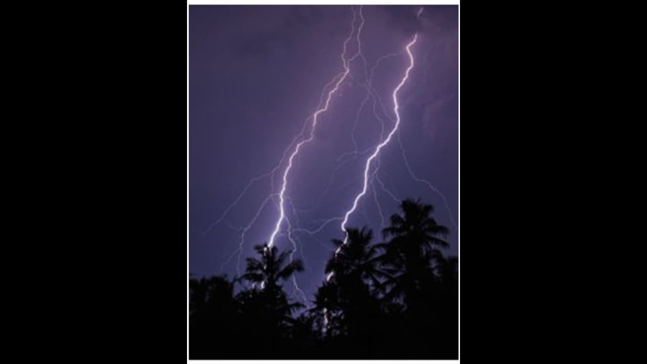 ഇടിയോടും കാറ്റോടും കൂടിയ മഴ; ഇന്ന് 2 ജില്ലകളിൽ ഓറഞ്ച് അലർട്ട്, മത്സ്യബന്ധനത്തിന് വിലക്ക് ഇടിയോടും കാറ്റോടും കൂടിയ മഴ; ഇന്ന് 2 ജില്ലകളിൽ ഓറഞ്ച് അലർട്ട്, മത്സ്യബന്ധനത്തിന് വിലക്ക്