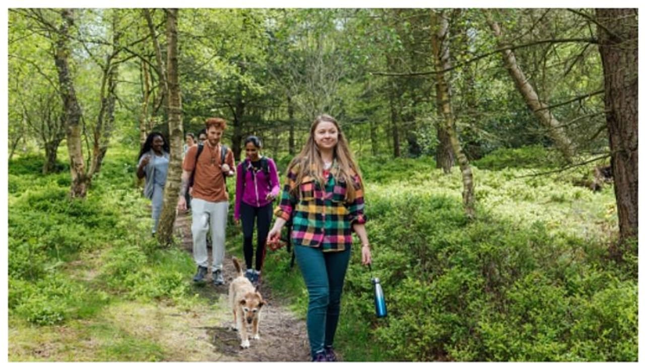 'വനത്തിലെ കുളി അനുഭവ'ത്തിന് 1500 രൂപയെന്ന് പരസ്യം; 'വാ അടുത്ത തട്ടിപ്പ്' കാണാമെന്ന് സോഷ്യൽ മീഡിയ 