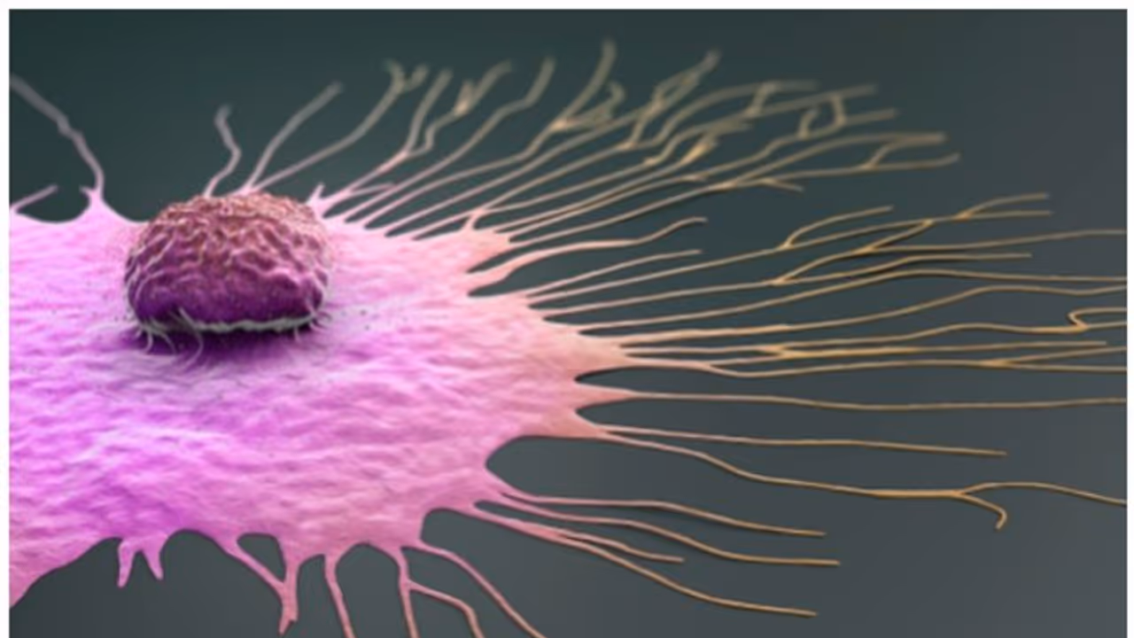സ്തനാര്ബുദം ; ശരീരം കാണിക്കുന്ന അഞ്ച് ലക്ഷണങ്ങൾ സ്തനാര്ബുദം ; ശരീരം കാണിക്കുന്ന അഞ്ച് ലക്ഷണങ്ങൾ