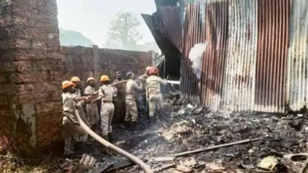 വന് അഗ്നിബാധ; പെരുമ്പാമ്പും ആമയും ചത്തു, തീയണച്ചത് മൂന്ന് മണിക്കൂറിന് ശേഷം വന് അഗ്നിബാധ; പെരുമ്പാമ്പും ആമയും ചത്തു, തീയണച്ചത് മൂന്ന് മണിക്കൂറിന് ശേഷം