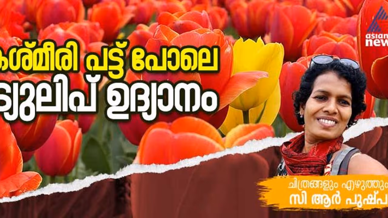 30 ഏക്കര്‍ തോട്ടം, പതിനേഴ് ലക്ഷം ചെടികള്‍, കശ്മീരിന് ചായമടിച്ച് ട്യുലിപ് വസന്തം!