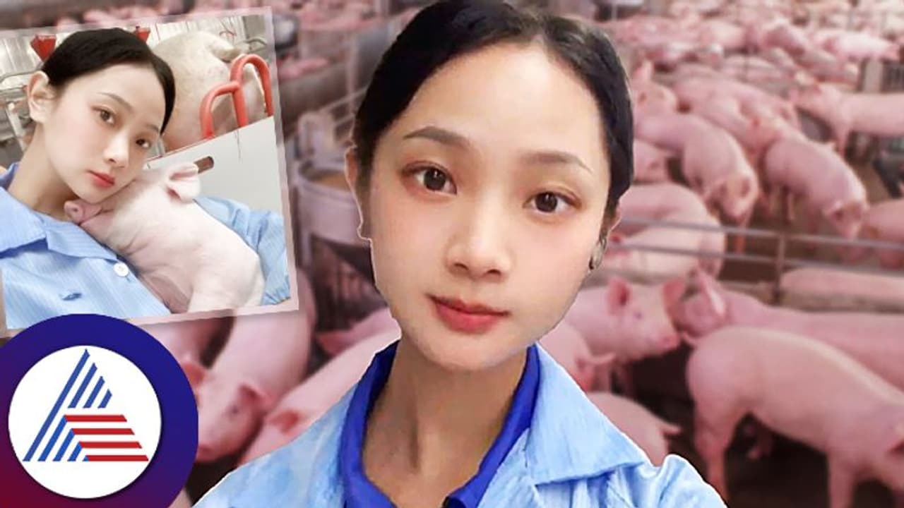 ಲಕ್ಷಾಂತರ ರೂ. ಸಂಬಳ ಬರೋ ಕೆಲ್ಸ ಬಿಟ್ಟು, ಇವಳ್ಯಾಕೆ ಹಂದಿ ಸಾಕೋಕೆ ಶುರು ಮಾಡಿದ್ಲು? ಲಕ್ಷಾಂತರ ರೂ. ಸಂಬಳ ಬರೋ ಕೆಲ್ಸ ಬಿಟ್ಟು, ಇವಳ್ಯಾಕೆ ಹಂದಿ ಸಾಕೋಕೆ ಶುರು ಮಾಡಿದ್ಲು?