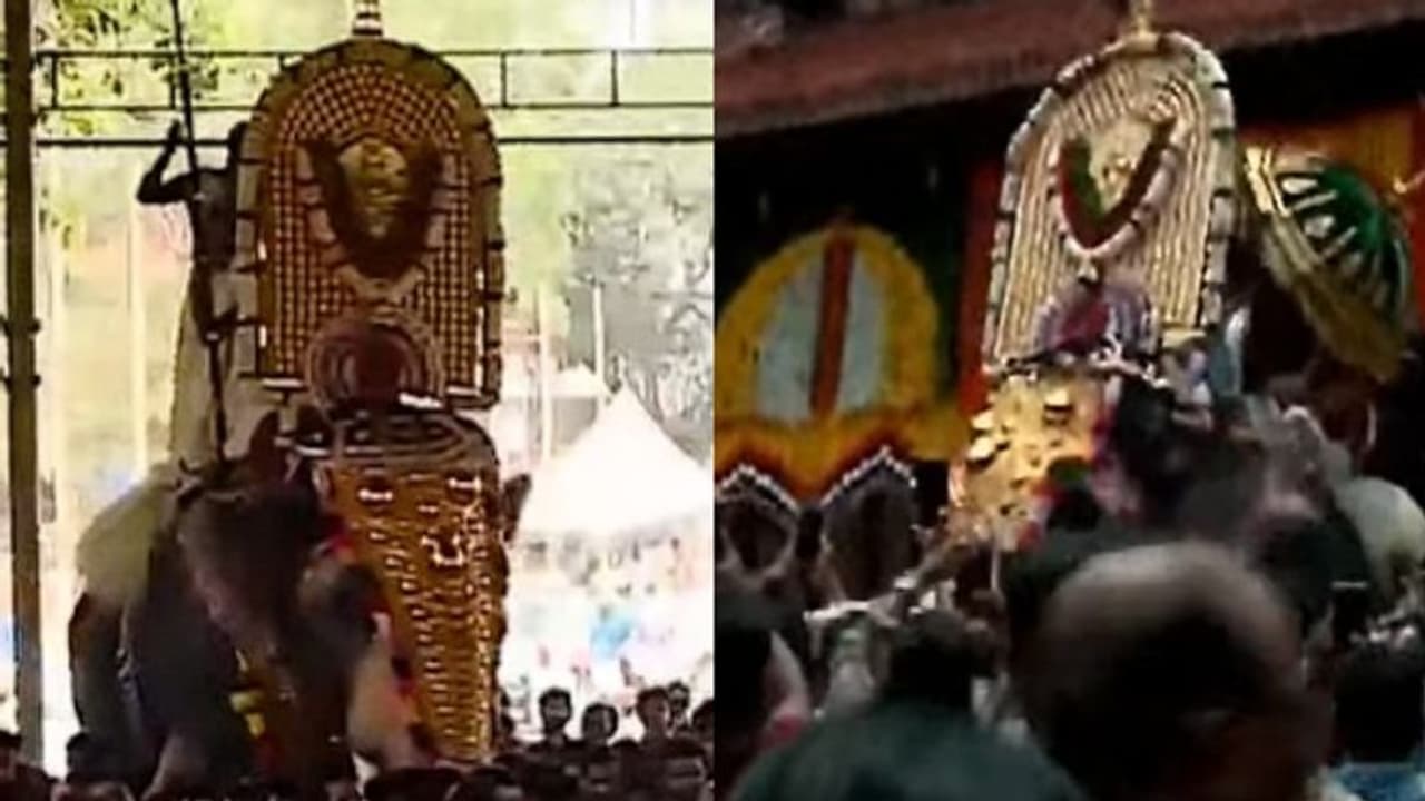 Thrissur Pooram 2024: Neithala Kavilamma Thekke Gopura Nada opens marking official start of Pooram Thrissur Pooram 2024: Neithala Kavilamma Thekke Gopura Nada opens marking official start of Pooram