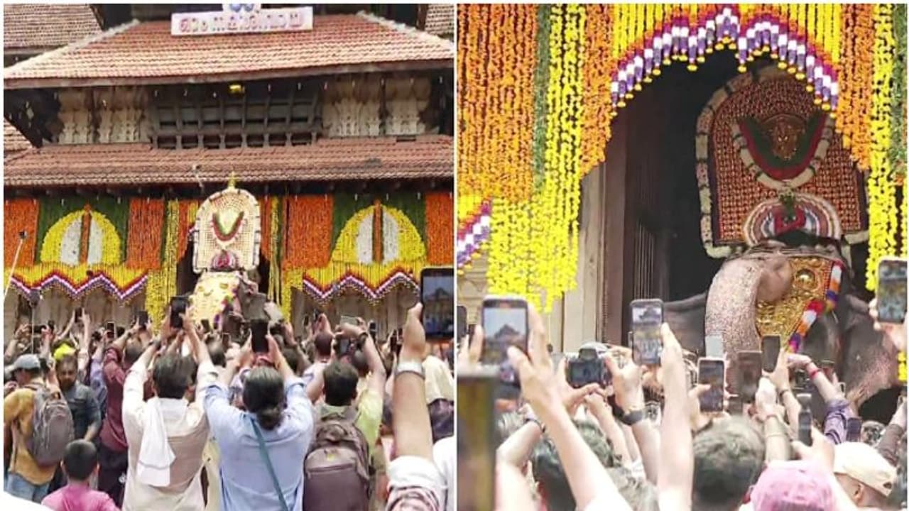 പൂരാവേശത്തിൽ തൃശ്ശൂർ; നെയ്തലക്കാവിലമ്മയുടെ തിടമ്പേറ്റി എറണാകുളം ശിവകുമാർ തെക്കേ ഗോപുര നട തുറന്നു 