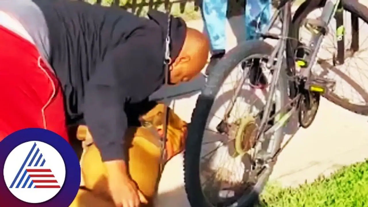 ದಾರಿಯಲ್ಲಿ ನಾಯಿಗೆ ಹೃದಯಾಘಾತ, ಉಸಿರು ನೀಡಿ ಜೀವ ಉಳಿಸಿದ ವ್ಯಕ್ತಿಗೆ ನೆಟ್ಟಿಗರ ಪ್ರಶಂಸೆ! ದಾರಿಯಲ್ಲಿ ನಾಯಿಗೆ ಹೃದಯಾಘಾತ, ಉಸಿರು ನೀಡಿ ಜೀವ ಉಳಿಸಿದ ವ್ಯಕ್ತಿಗೆ ನೆಟ್ಟಿಗರ ಪ್ರಶಂಸೆ!