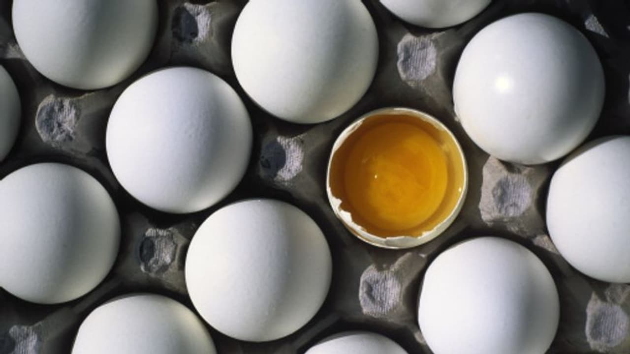 Health Tips : പ്രാതലിൽ ഒരു മുട്ട ഉൾപ്പെടുത്തൂ, ഗുണങ്ങളറിയാം Health Tips : പ്രാതലിൽ ഒരു മുട്ട ഉൾപ്പെടുത്തൂ, ഗുണങ്ങളറിയാം