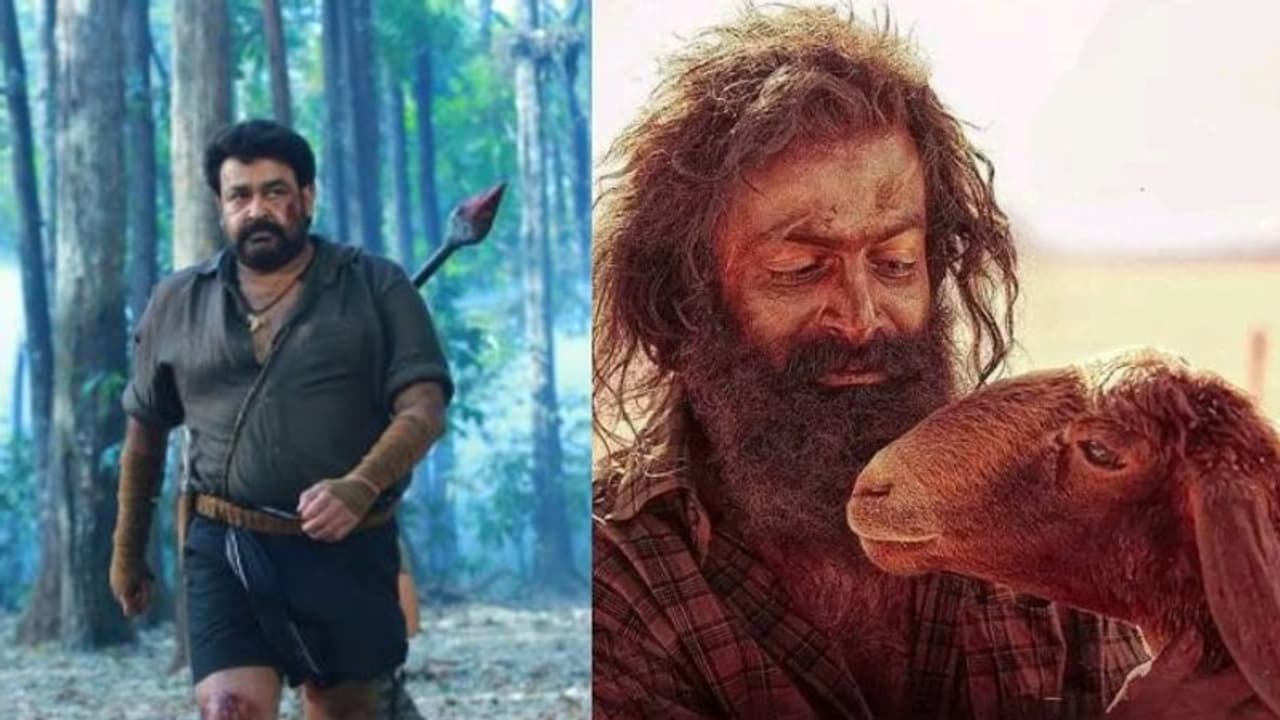 ആടിന് മുന്നിൽ വീണ് പുലി; എതിരാളികളെ ഭയക്കാതെ 'ആടുജീവിതം', മുന്നിലുള്ളത് രണ്ട് സിനിമകൾ മാത്രം !