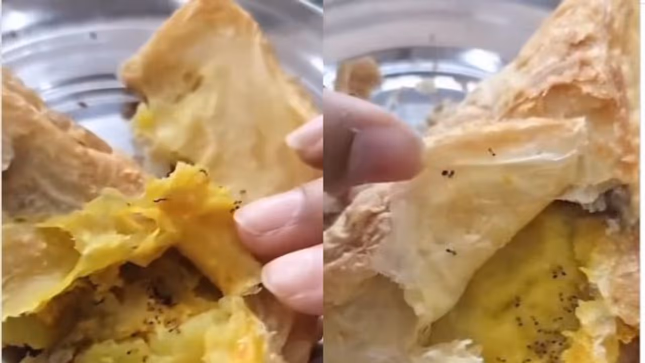 കോളേജ് കാന്റീനിൽ നിന്ന് വാങ്ങിയ സമോസയ്ക്കുള്ളിൽ ചത്ത ഉറുമ്പുകൾ, വീഡിയോ വൈറൽ