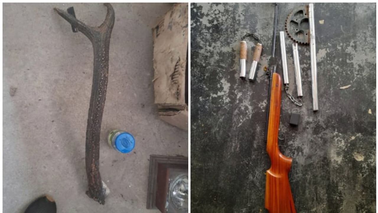 വീട്ടിൽ ആയുധ ശേഖരമെന്ന് രഹസ്യ വിവരം; റെയ്ഡില് കണ്ടെത്തിയത് മാൻകൊമ്പും എയർഗണ്ണും, യുവാവ് അറസ്റ്റിൽ വീട്ടിൽ ആയുധ ശേഖരമെന്ന് രഹസ്യ വിവരം; റെയ്ഡില് കണ്ടെത്തിയത് മാൻകൊമ്പും എയർഗണ്ണും, യുവാവ് അറസ്റ്റിൽ