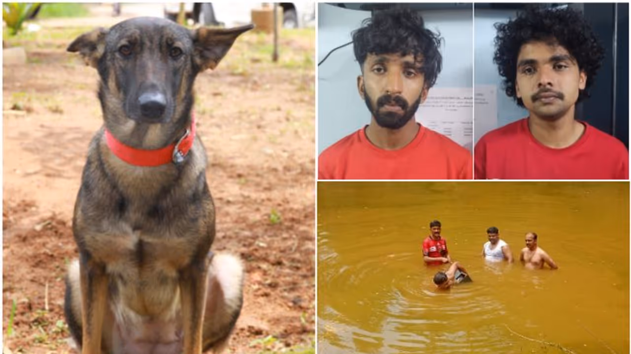 2 പേരുടെ വസ്ത്രം മണപ്പിച്ച പിങ്കി അനങ്ങിയില്ല, പക്ഷേ മജീദിന്‍റെ തൊപ്പിയിലെ മണം തിരിച്ചറിഞ്ഞു! പിന്നെ വഴികാട്ടി