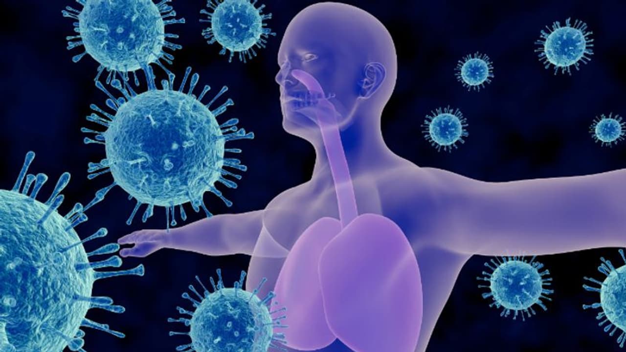 Health Tips: നിങ്ങൾക്ക് രോഗപ്രതിരോധശേഷി കുറവാണോ? ശരീരം കാണിക്കും ഈ ലക്ഷണങ്ങള്‍...