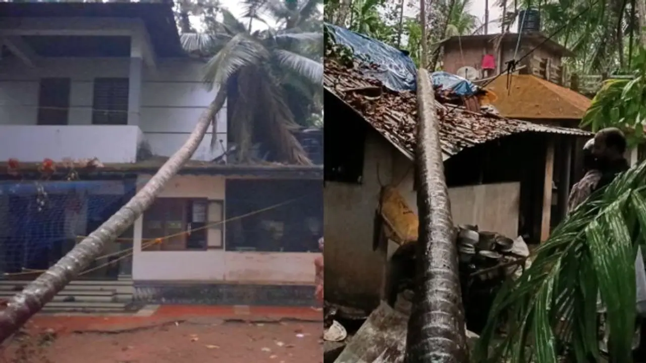 വേനല് മഴയും കാറ്റും; മരങ്ങള് കടപുഴകി വീണ് നാശനഷ്ടം, നാല് വീടുകളും വൈദ്യുത പോസ്റ്റുകളും തകർന്നു വേനല് മഴയും കാറ്റും; മരങ്ങള് കടപുഴകി വീണ് നാശനഷ്ടം, നാല് വീടുകളും വൈദ്യുത പോസ്റ്റുകളും തകർന്നു