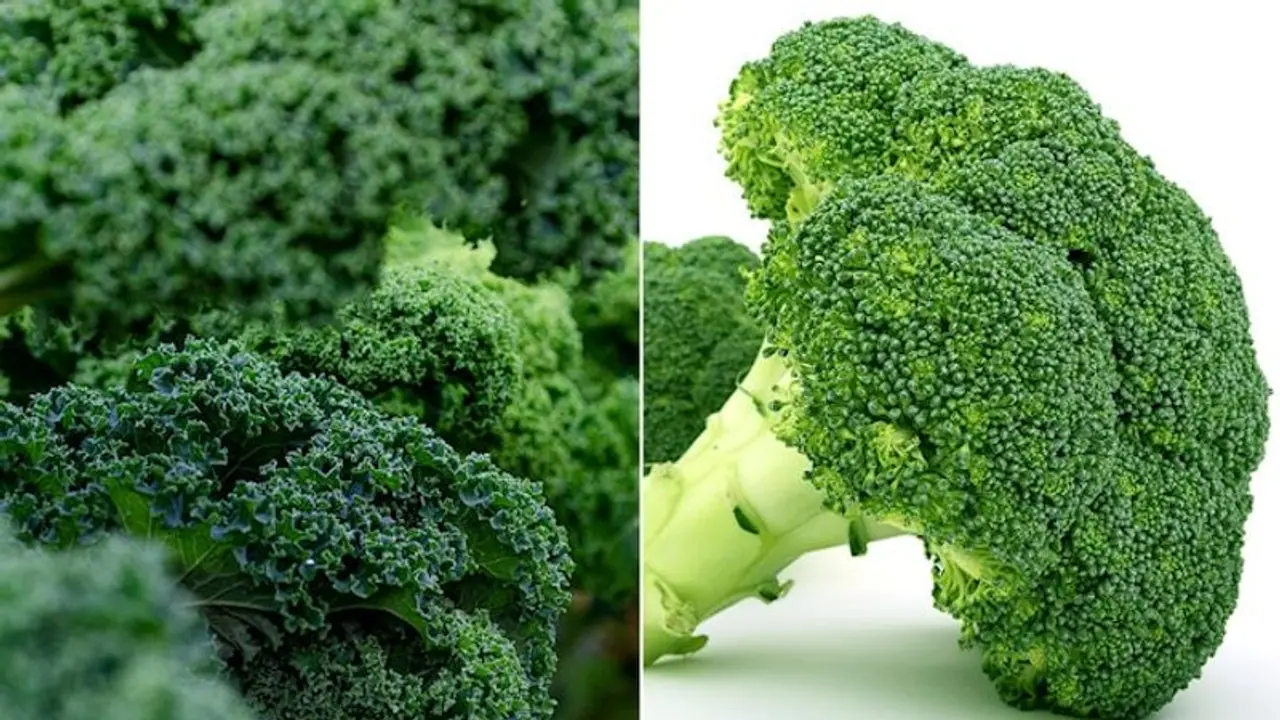 Broccoli to Kale: 7 vegetables that help reduce inflammation naturally