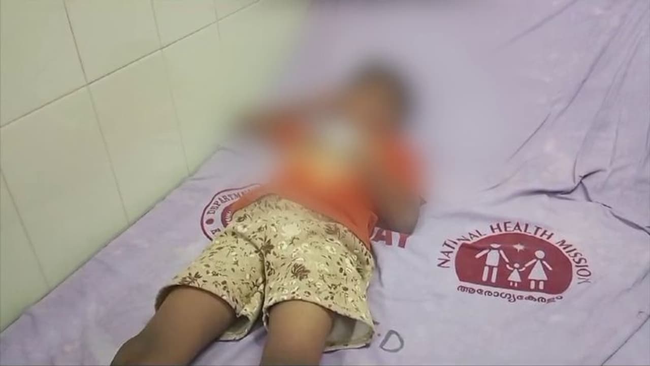 വൈകിട്ട് നാലര മണി, വയനാട്ടിലെ മുഹമ്മദിന്റെ വീടിനകത്തേക്ക് അതിവേഗം ഓടിക്കയറി കാട്ടുപന്നി, 3 പേര്ക്ക് പരിക്ക് വൈകിട്ട് നാലര മണി, വയനാട്ടിലെ മുഹമ്മദിന്റെ വീടിനകത്തേക്ക് അതിവേഗം ഓടിക്കയറി കാട്ടുപന്നി, 3 പേര്ക്ക് പരിക്ക്