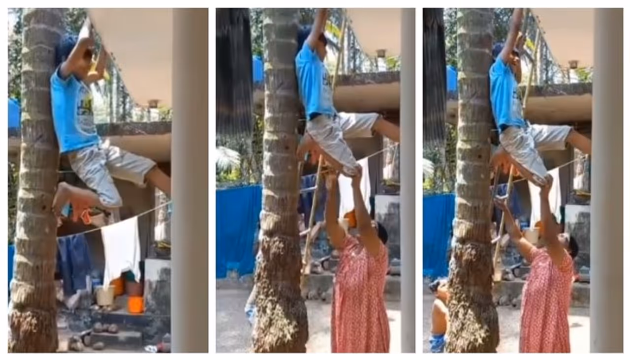  'അമ്മമ്മേ ഞാന്‍ പെട്ടു', ചുവരില്‍ കയറി കുടുങ്ങി കുട്ടിക്കുറുമ്പന്‍, ഏണിയുമായി അമ്മമ്മ, വൈറല്‍ വീഡിയോ! 