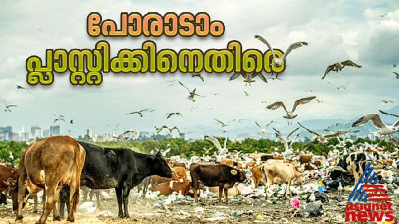 ഇന്ന് ലോക ഭൗമദിനം; പുനരുപയോഗിച്ചാലും ഭൂമിയില് അവശേഷിക്കുന്ന പ്ലാസ്റ്റിക് ഇന്ന് ലോക ഭൗമദിനം; പുനരുപയോഗിച്ചാലും ഭൂമിയില് അവശേഷിക്കുന്ന പ്ലാസ്റ്റിക്