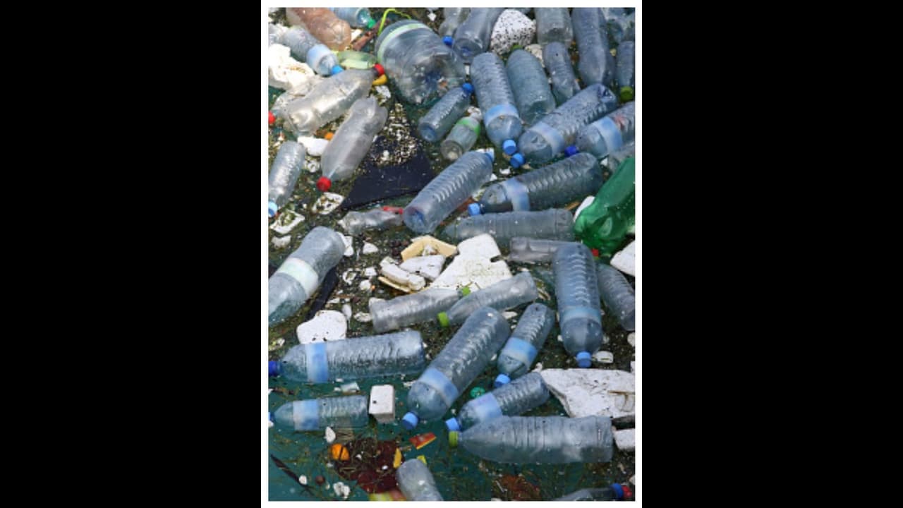 ഇടുക്കിയിൽ പൊതുസ്ഥലത്ത് മാലിന്യം തള്ളിയ കോളേജ് വിദ്യാർത്ഥികൾക്ക് 1000 പിഴയും ഇംപോസിഷനും ശിക്ഷ ഇടുക്കിയിൽ പൊതുസ്ഥലത്ത് മാലിന്യം തള്ളിയ കോളേജ് വിദ്യാർത്ഥികൾക്ക് 1000 പിഴയും ഇംപോസിഷനും ശിക്ഷ