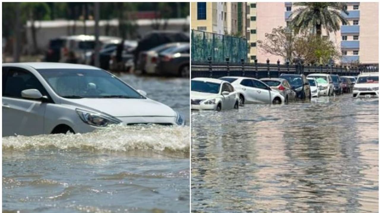 കനത്ത മഴയും അസ്ഥിര കാലാവസ്ഥയും; എല്ലാ ട്രാഫിക് നിയമലംഘനങ്ങളും റദ്ദാക്കി ഷാര്ജ കനത്ത മഴയും അസ്ഥിര കാലാവസ്ഥയും; എല്ലാ ട്രാഫിക് നിയമലംഘനങ്ങളും റദ്ദാക്കി ഷാര്ജ