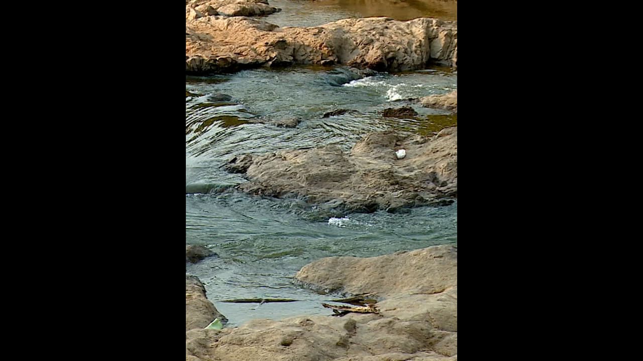 கோவையில் தடுப்பணையில் மூழ்கிய 3 சிறார்கள்; வெப்பம் தாங்காமல் நீர் நிலைக்கு சென்றபோது சோகம் கோவையில் தடுப்பணையில் மூழ்கிய 3 சிறார்கள்; வெப்பம் தாங்காமல் நீர் நிலைக்கு சென்றபோது சோகம்