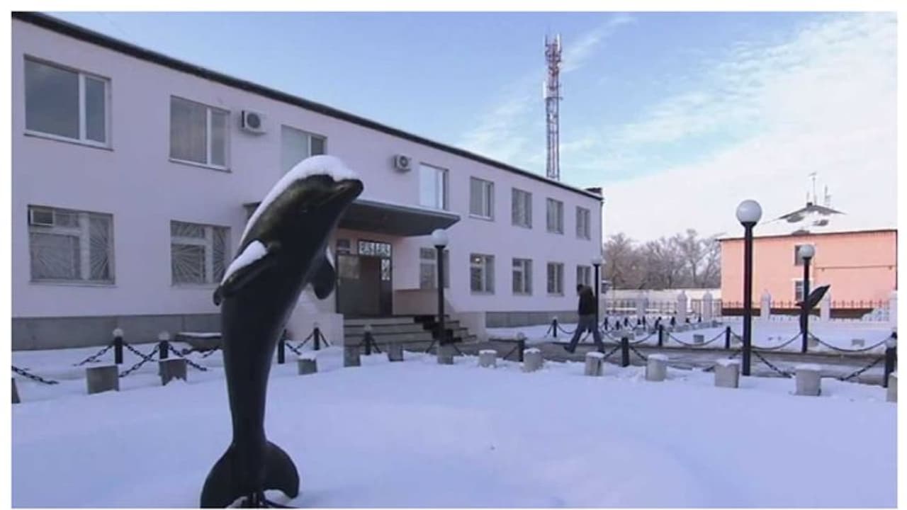 ബ്ലാക്ക് ഡോൾഫിൻ ജയിൽ; ലോകത്തിലെ ഏറ്റവും ക്രൂരത നിറഞ്ഞ ജയില്‍ 