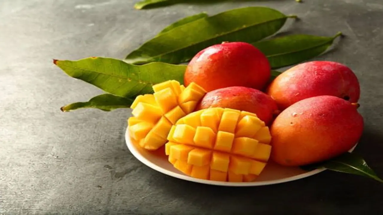 Mango Mania: 6 Delicious recipes for savoring the sweetness of summer!