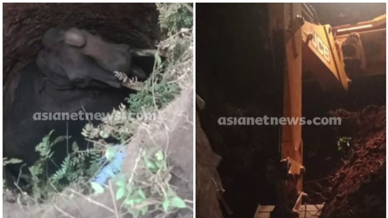 തൃശൂരില് കാട്ടാന കിണറ്റില് വീണു; രക്ഷാദൗത്യം തുടങ്ങി, ജെസിബിയെത്തി മണ്ണ് നീക്കുന്നു തൃശൂരില് കാട്ടാന കിണറ്റില് വീണു; രക്ഷാദൗത്യം തുടങ്ങി, ജെസിബിയെത്തി മണ്ണ് നീക്കുന്നു