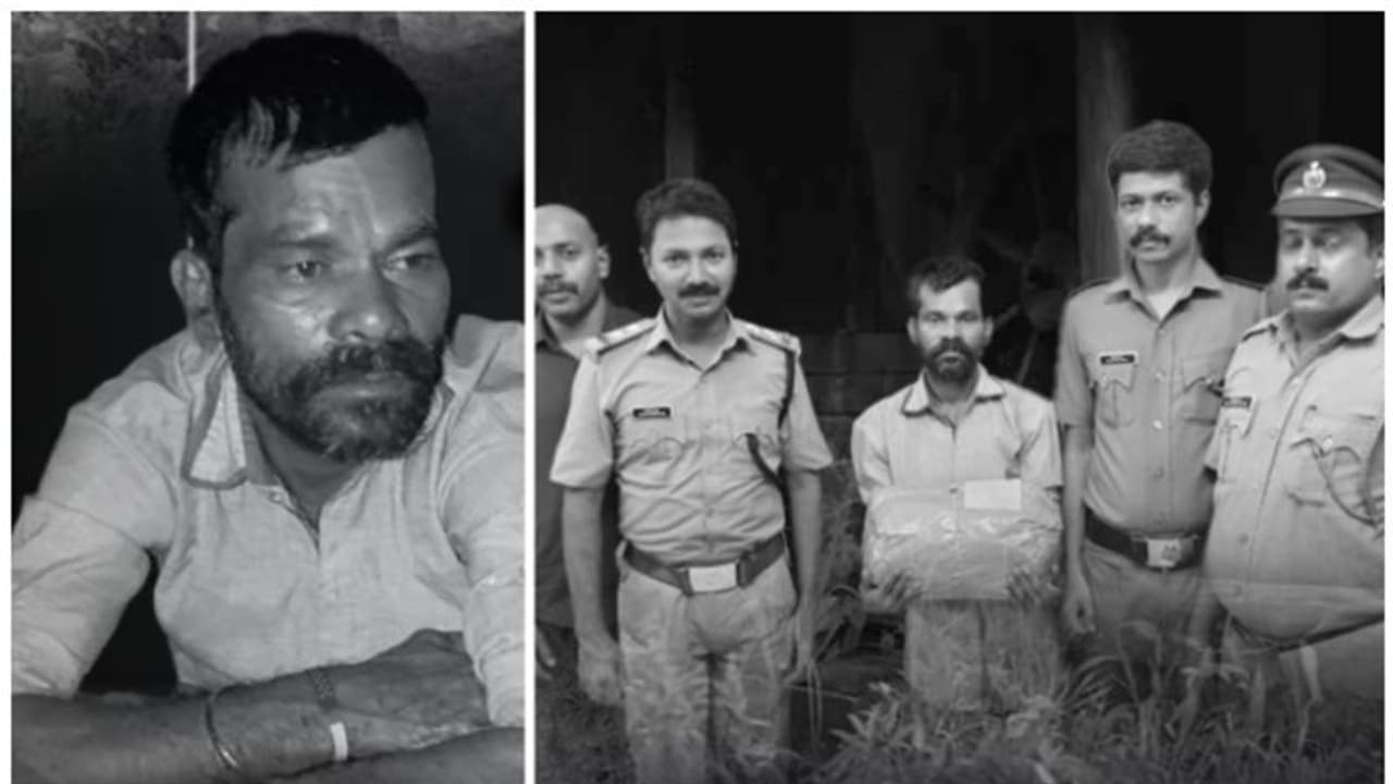 കൊടുങ്ങല്ലൂരിൽ ഇതര സംസ്ഥാന തൊഴിലാളി താമസിക്കുന്ന വീട്ടിൽ രാത്രി റെയ്ഡ്; പിടികൂടിയത് വൻ കഞ്ചാവ് ശേഖരം കൊടുങ്ങല്ലൂരിൽ ഇതര സംസ്ഥാന തൊഴിലാളി താമസിക്കുന്ന വീട്ടിൽ രാത്രി റെയ്ഡ്; പിടികൂടിയത് വൻ കഞ്ചാവ് ശേഖരം