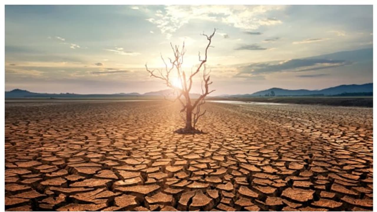 യൂറോപ്പിന്‍റെ താപനില ആഗോള ശരാശരിയേക്കാൾ ഇരട്ടിയായി ഉയരുന്നുവെന്ന് പഠനം 