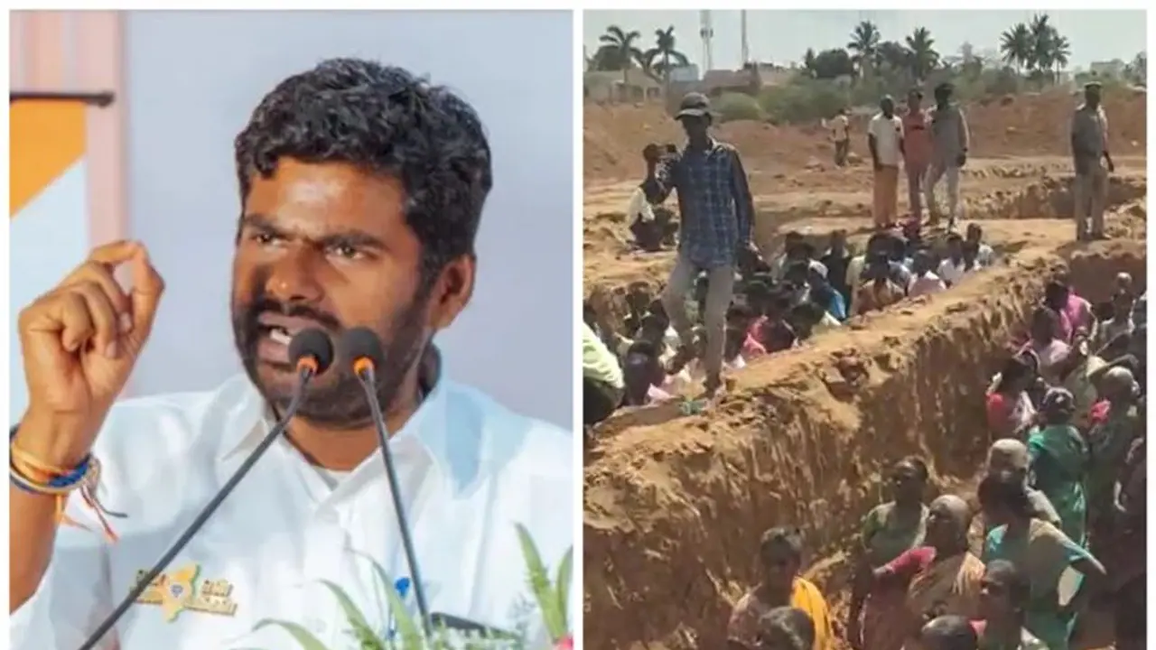 Annamalai: வாலை சுருட்டிக் கொண்டிருந்த திமுக மீண்டும் முருங்கை மரம் ஏறியிருக்கிறது அண்ணாமலை காட்டம்