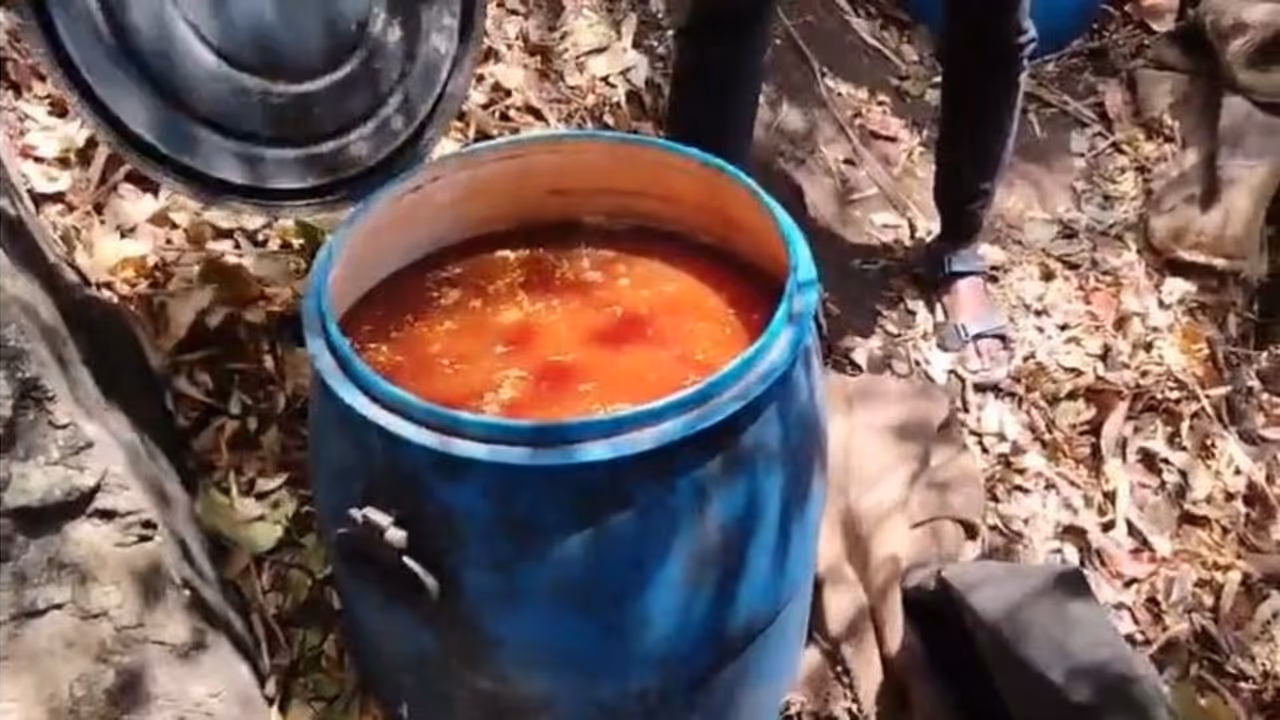 കാട്ടിനുള്ളിൽ പണി തകൃതിയെന്ന് വിവരം, എക്സൈസ് സംഘം കാടുകയറി, 10 കിമീ താണ്ടി; പിടികൂടിയത് 3400 ലിറ്റ‍ര്‍ വാഷ് 