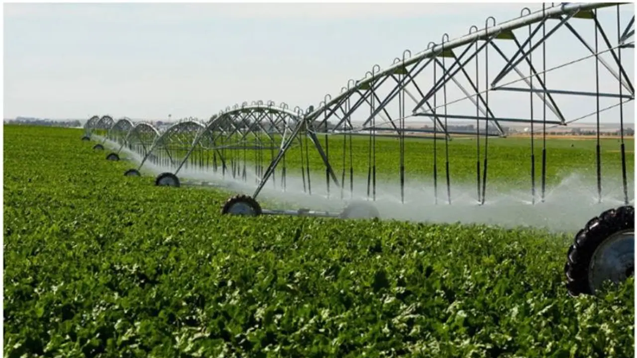 கோவை தடாகம் பகுதியின் விளை நிலங்களில் அட்டகாசம் செய்யும் காட்டு விலங்குகள் விவசாயிகள் வேதனை