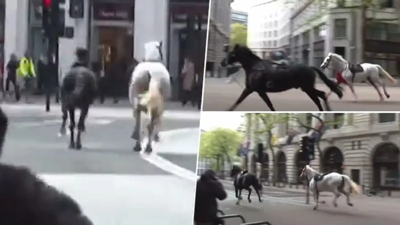 2 Army horses gallop through Central London during rush hour, contained by police amidst chaos (WATCH)