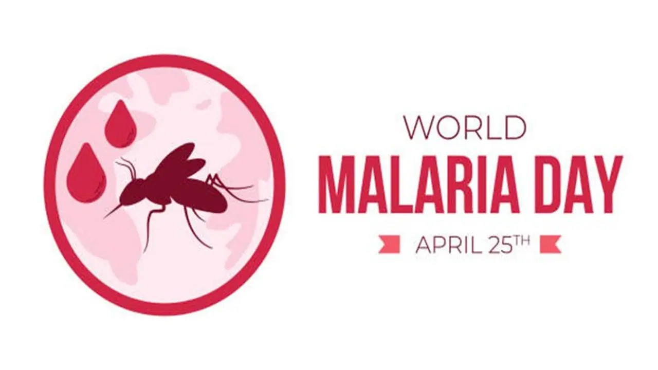 World Malaria Day 2024: Causes, symptoms, and precautions you need to know