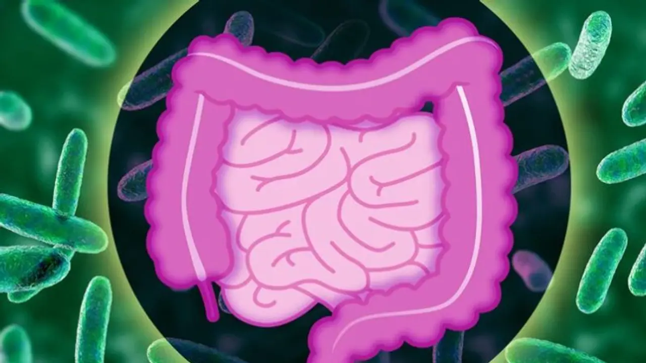 Do you have an unhealthy gut? Here are 7 common signs and tips to address them Do you have an unhealthy gut? Here are 7 common signs and tips to address them