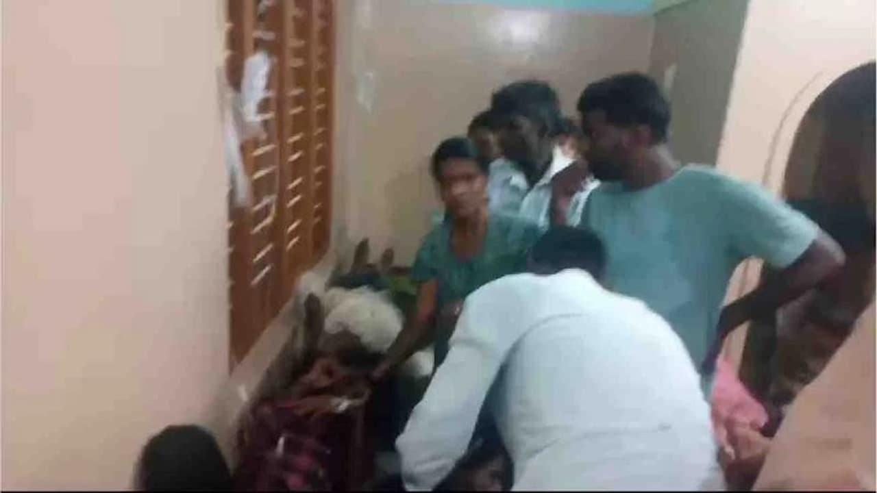 ಬೀಗರೂಟ ಮಾಡಿ ಮದುಮಕ್ಕಳ ಸಹಿತ 500+ ಮಂದಿ ಅಸ್ವಸ್ಥ: ಸಚಿವ ವೆಂಕಟೇಶ್‌ ಸಹ ಭಾಗಿ!