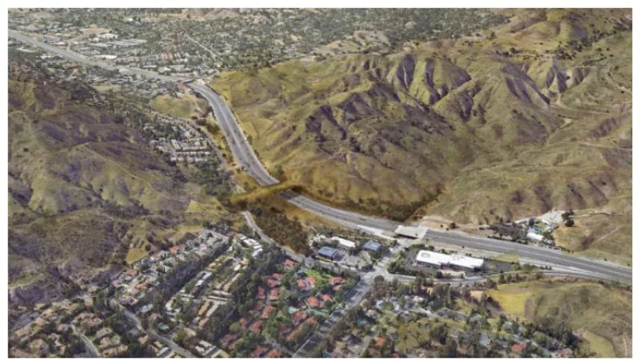 മൃഗങ്ങൾക്കും വഴി നടക്കണം; ഹൈവേ പൂട്ടിയിട്ട് വാഹനങ്ങള്‍ തടഞ്ഞ് ലൊസാഞ്ചലസ്