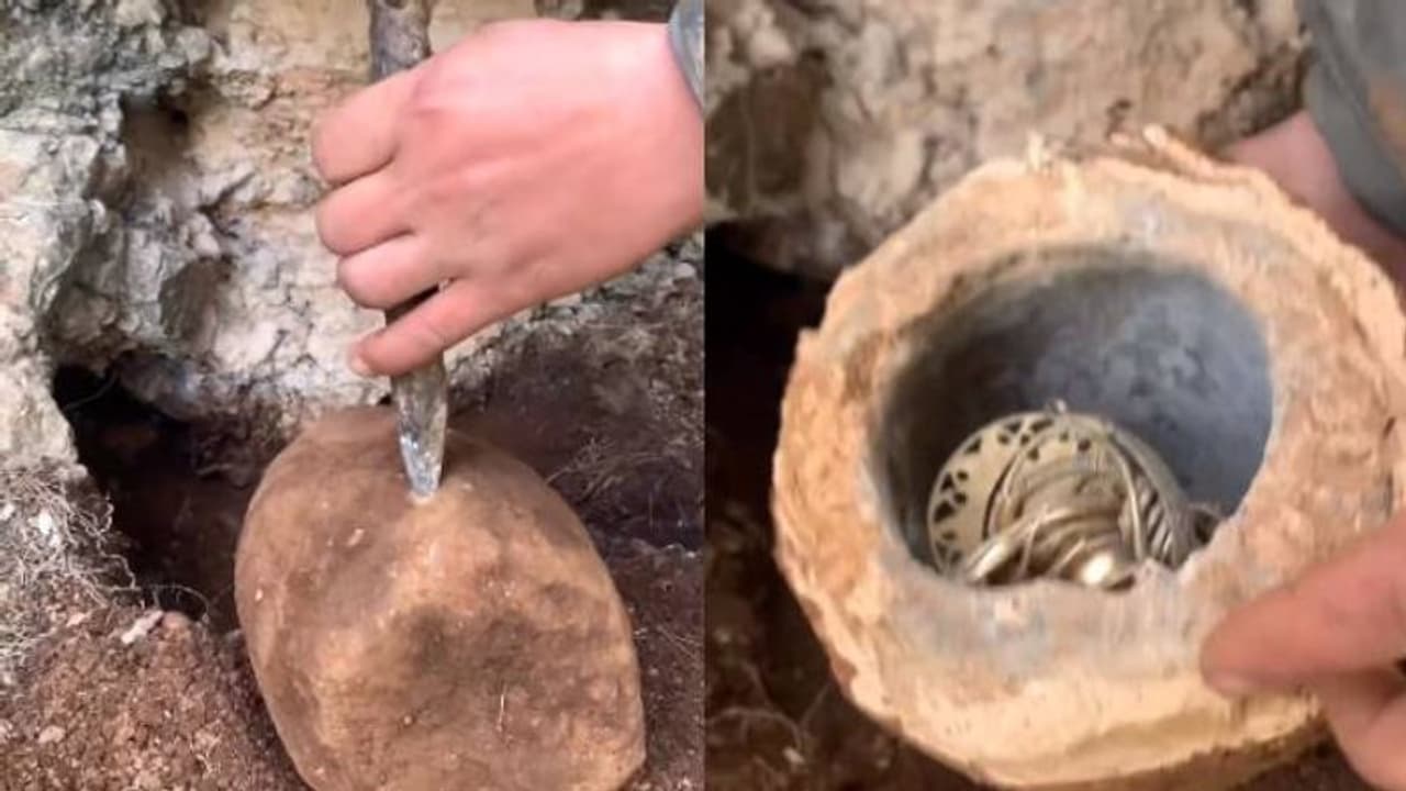 സ്വർണ്ണാഭരണങ്ങൾ കുഴിച്ചെടുക്കുന്ന നിധിവേട്ടക്കാരൻ, വീഡിയോ വൈറൽ 