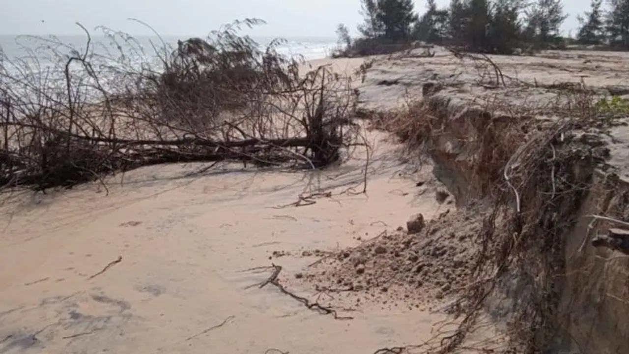 What is Coastal Erosion? The silent threat forcing Odisha villagers to desert homes