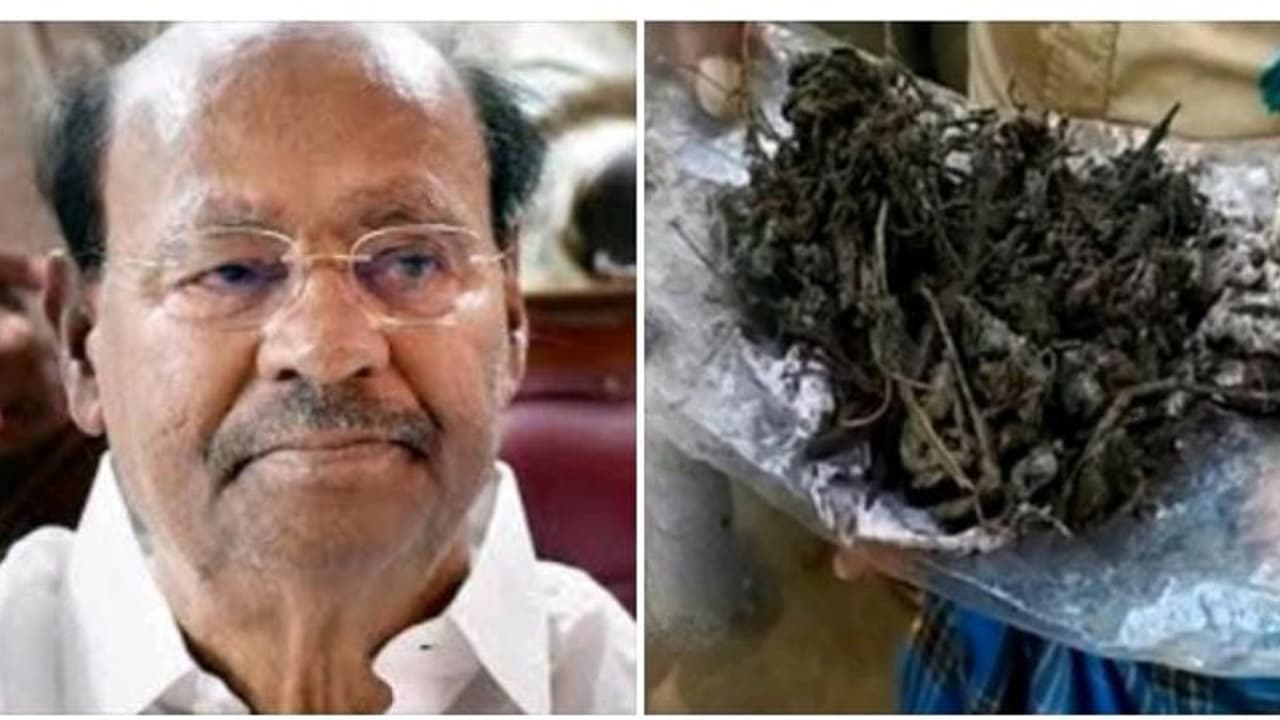 குடிநீர்த் தொட்டியில் மாட்டுச்சாணம்.! தலித்துகளுக்கு எதிரான வன்கொடுமை... தமிழக அரசு படுதோல்வி சீறும் ராமதாஸ்