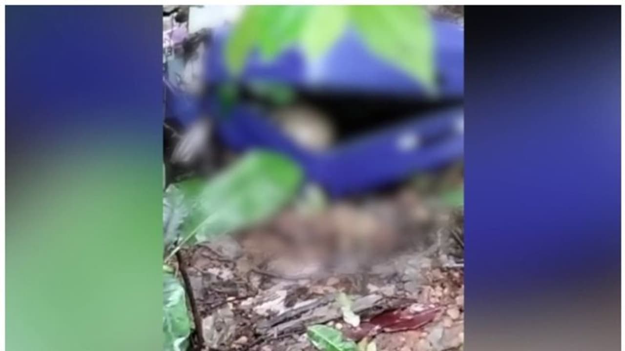 മാക്കൂട്ടം ചുരത്തിൽ ട്രോളി ബാഗിൽ മൃതദേഹം; 8 മാസം പിന്നിട്ടിട്ടും എങ്ങുമെത്താതെ അന്വേഷണം മാക്കൂട്ടം ചുരത്തിൽ ട്രോളി ബാഗിൽ മൃതദേഹം; 8 മാസം പിന്നിട്ടിട്ടും എങ്ങുമെത്താതെ അന്വേഷണം