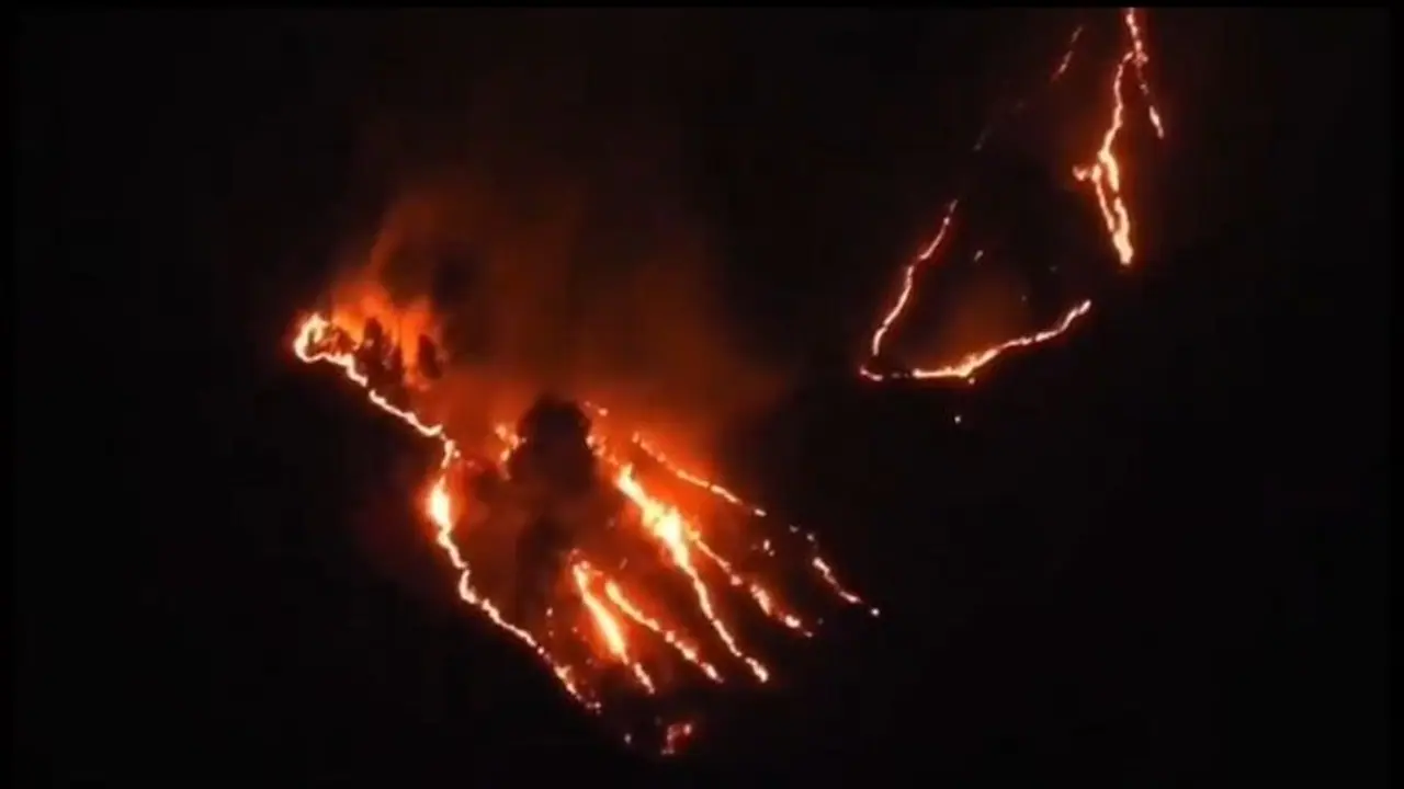 Two labourers lose lives in Almora as Uttarakhand forest fires claim first victims