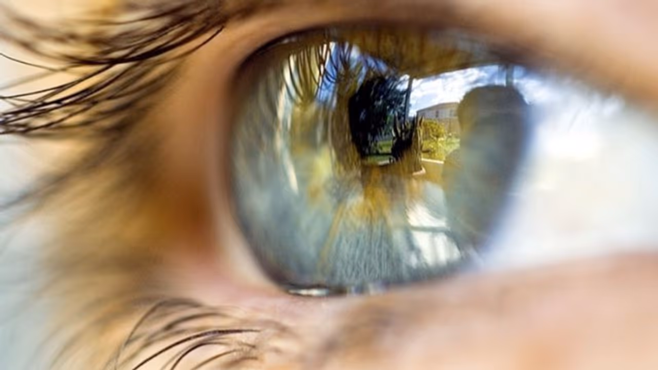 കാഴ്ചശക്തി വർധിപ്പിക്കാന് കഴിക്കേണ്ട എട്ട് ഡ്രൈ ഫ്രൂട്ട്സ്... കാഴ്ചശക്തി വർധിപ്പിക്കാന് കഴിക്കേണ്ട എട്ട് ഡ്രൈ ഫ്രൂട്ട്സ്...