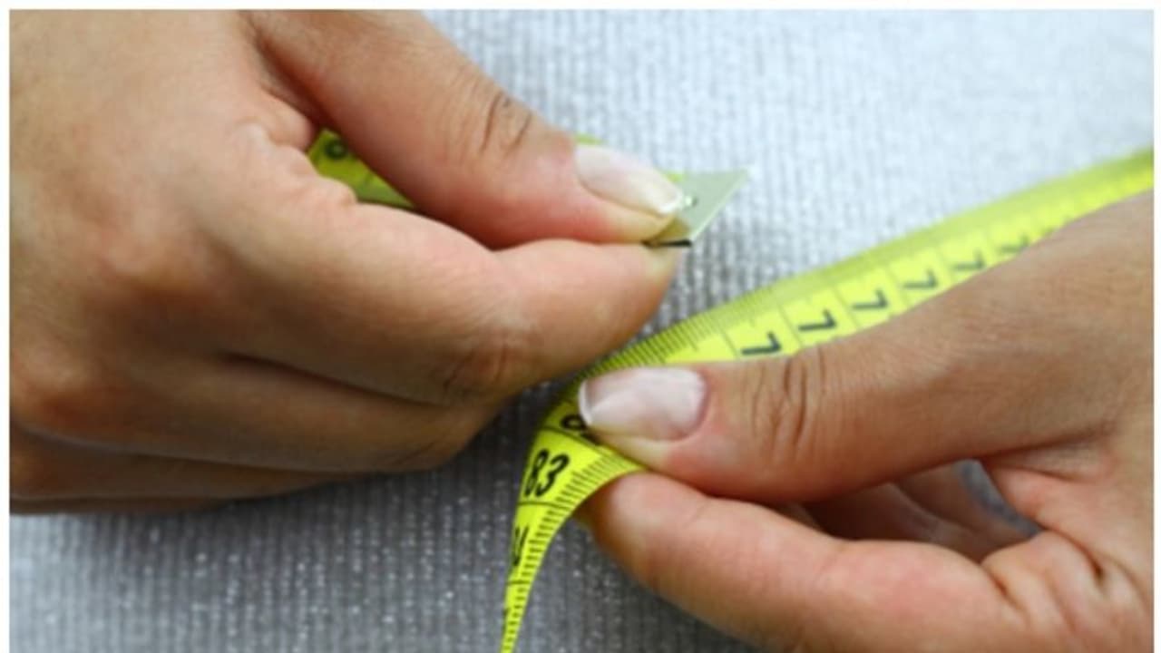 Health Tips : വണ്ണം കുറയ്ക്കാനുള്ള ശ്രമത്തിലാണോ? എങ്കിൽ ഈ പഴങ്ങൾ ഡയറ്റിൽ ഉൾപ്പെടുത്തൂ