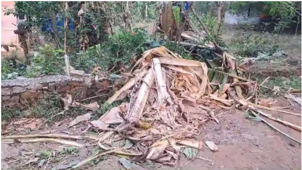 അതിരപ്പള്ളിയിലും വയനാട്ടിലും കാട്ടാന ആക്രമണം; ഒരാൾക്ക് പരിക്ക് അതിരപ്പള്ളിയിലും വയനാട്ടിലും കാട്ടാന ആക്രമണം; ഒരാൾക്ക് പരിക്ക്