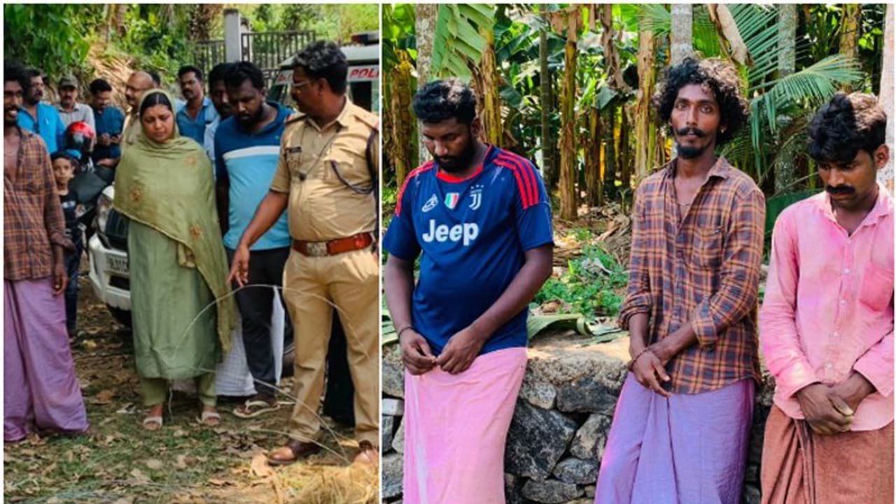 'പക്ഷികളെ ക്രൂരമായി വേട്ടയാടി ചുട്ടു തിന്നും', കയ്യോടെ പിടികൂടി നാട്ടുകാർ; കേസെടുക്കാൻ വകുപ്പില്ലെന്ന് അധികൃതർ 'പക്ഷികളെ ക്രൂരമായി വേട്ടയാടി ചുട്ടു തിന്നും', കയ്യോടെ പിടികൂടി നാട്ടുകാർ; കേസെടുക്കാൻ വകുപ്പില്ലെന്ന് അധികൃതർ