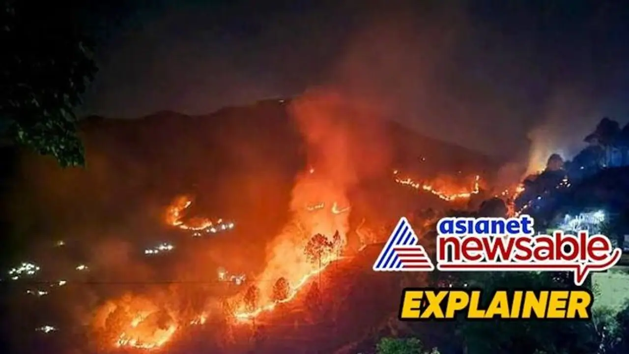 Explained: What triggers forest fires in Uttarakhand Explained: What triggers forest fires in Uttarakhand